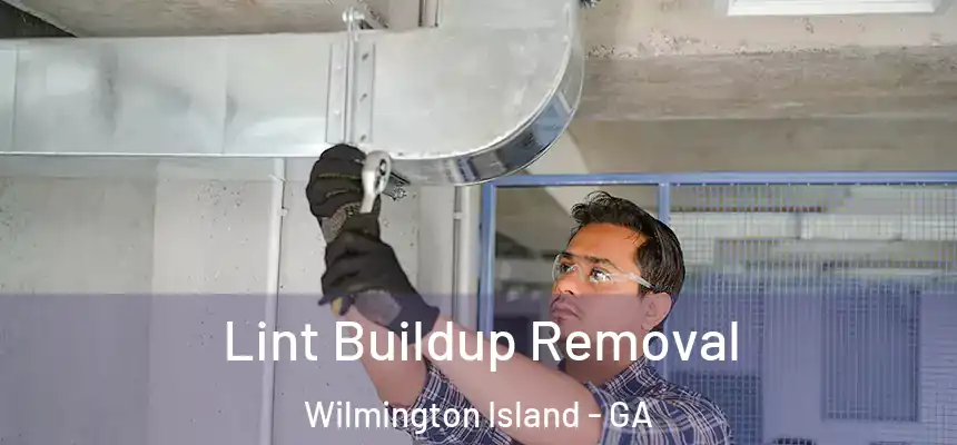  Lint Buildup Removal Wilmington Island - GA
