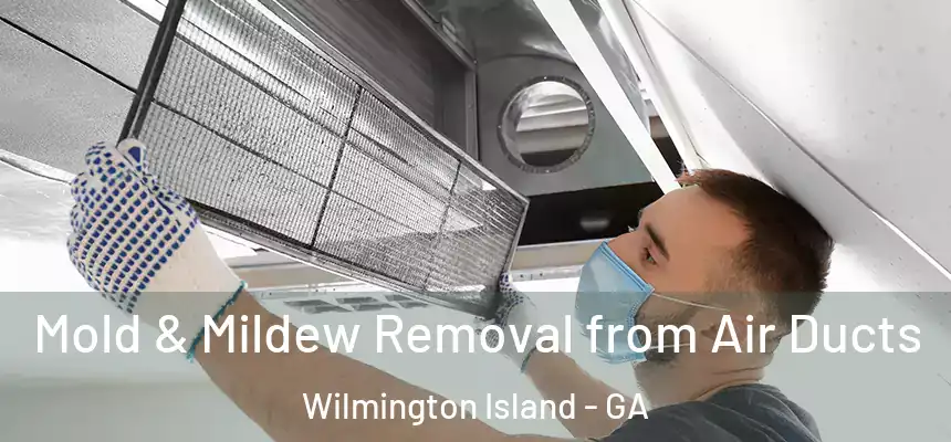  Mold & Mildew Removal from Air Ducts Wilmington Island - GA