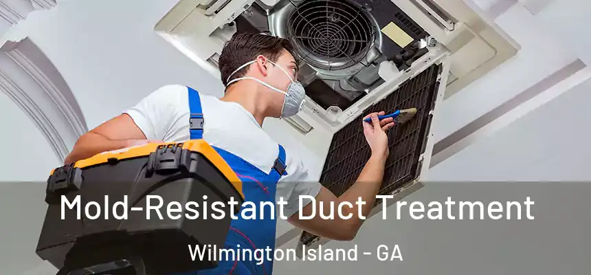  Mold-Resistant Duct Treatment Wilmington Island - GA
