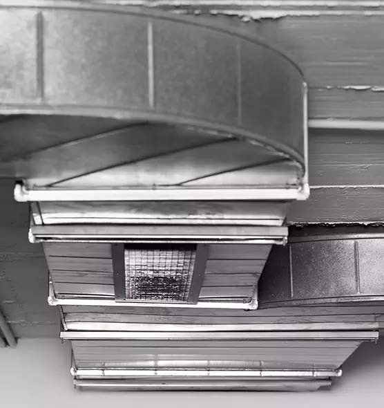 Professional Air Duct Pet Hair Removal in Wilmington Island, GA