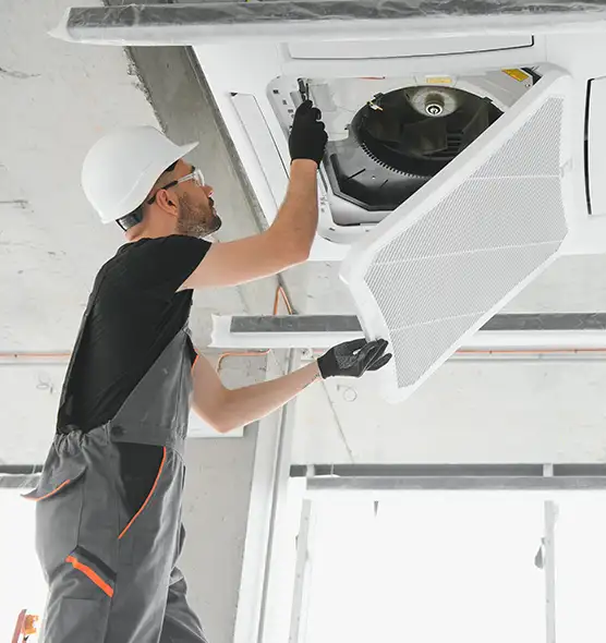 About Air Duct Rodent Removal in Wilmington Island, GA