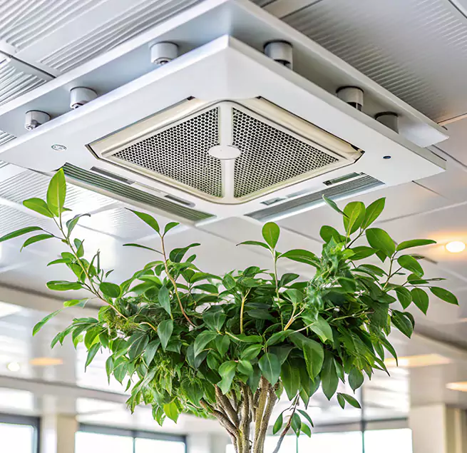 Why Homeowners & Businesses Trust Us in Wilmington Island, GA