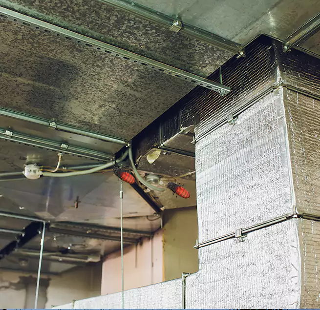 Why Homeowners & Businesses Trust Us Wilmington Island, GA?