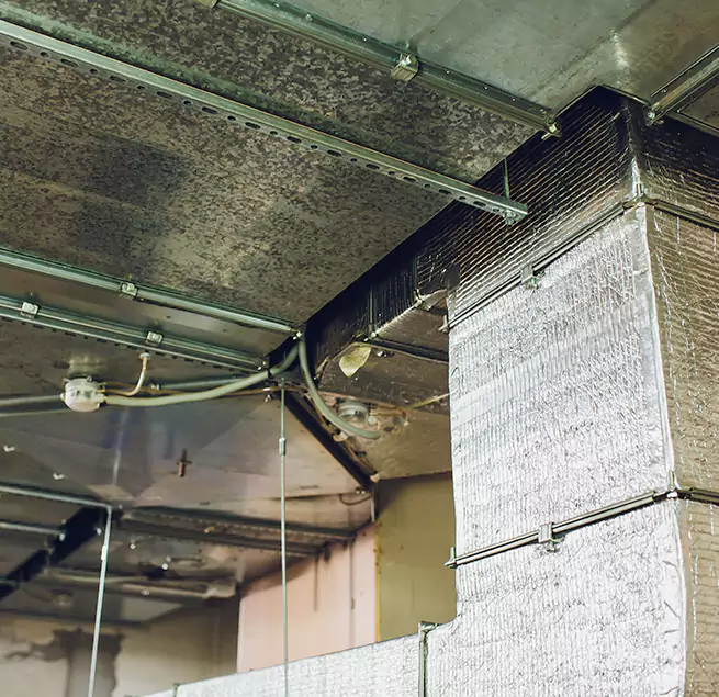 Why Homeowners & Businesses Trust Us in Wilmington Island, GA?