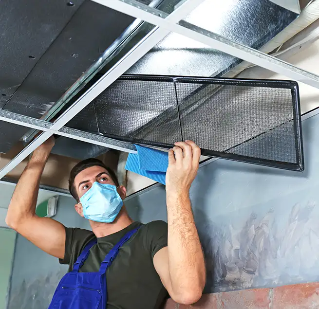 Why Homeowners & Businesses Trust Us in Wilmington Island, GA?