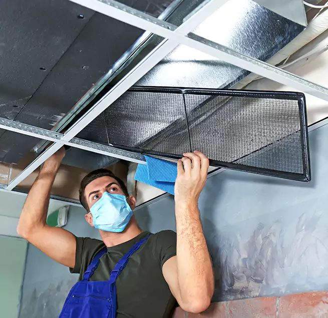 Why Homeowners Businesses Trust Us in Wilmington Island, GA?